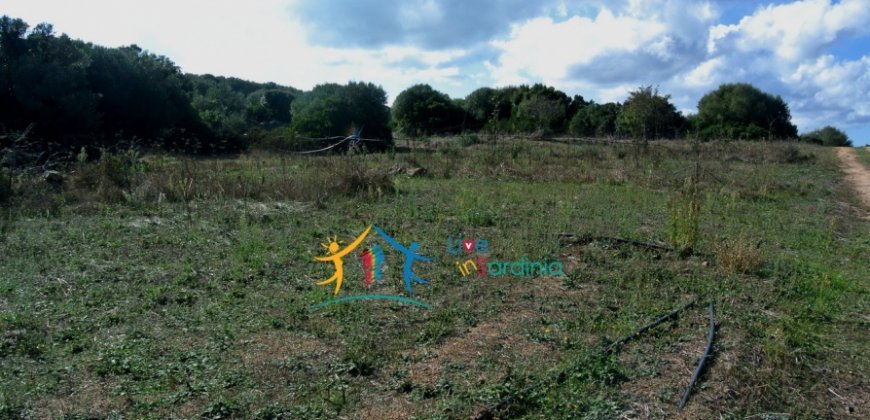 156 M2 Country Home and 2 Ha Land for Sale in Bassacutena, Near Palau, North Sardinia