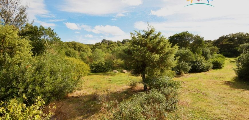 Superb Unfinished Rural Villas With 3,4 Ha for Sale Near Olbia, North Sardinia