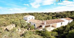 Superb Unfinished Rural Villas With 3,4 Ha for Sale Near Olbia, North Sardinia