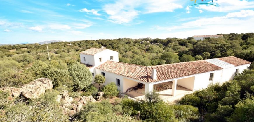 Superb Unfinished Rural Villas With 3,4 Ha for Sale Near Olbia, North Sardinia
