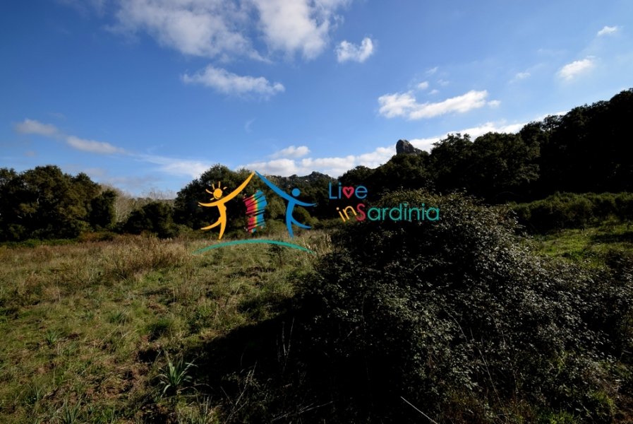 120M2 Ruin and 3,9 Ha Land for Sale in Calangianus, Northern Sardinia