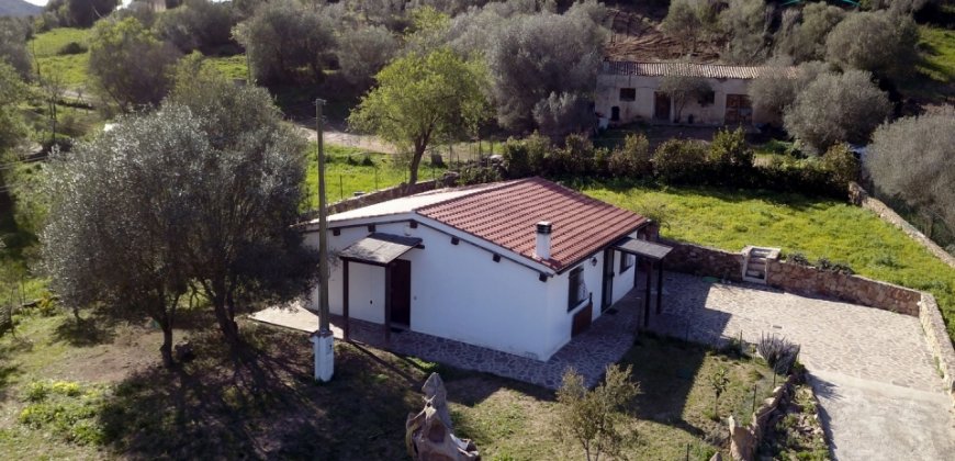 Refurbished 100 M2 Rural Home and Land for Sale 15 Km from Olbia, N.e. Sardinia