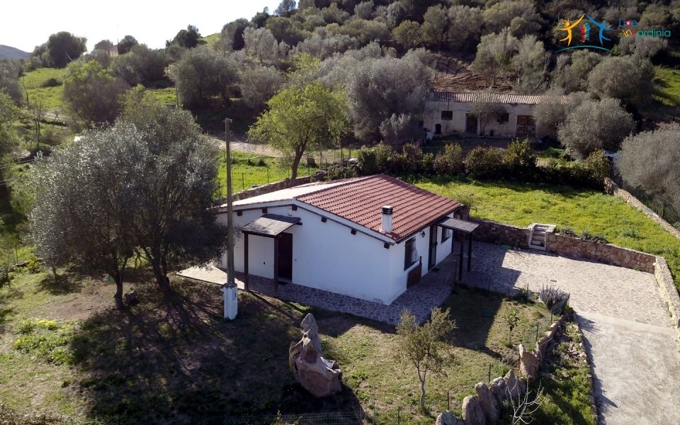 Refurbished 100 M2 Rural Home and Land for Sale 15 Km from Olbia, N.e. Sardinia