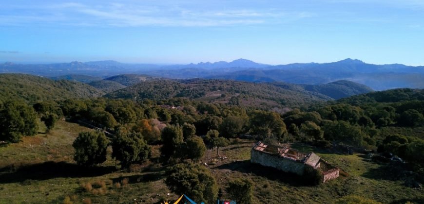 Fabolous 10 Ha Land and 86 M2 Farmhouse for Sale in Luogosanto 23 Km from Arzachena North Sardinia