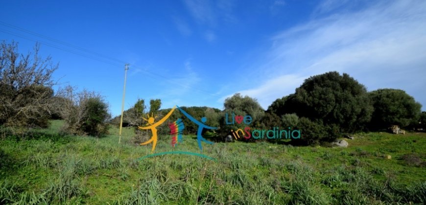 Attractive 3 Ha Land and 60 M2 Farmhouse for Sale in Li Casareddi Near Porto Cervo, North East Sardinia