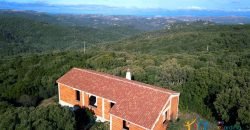 Sardinian Style Villa With Land for Sale in Luogosanto, North East Sardinia