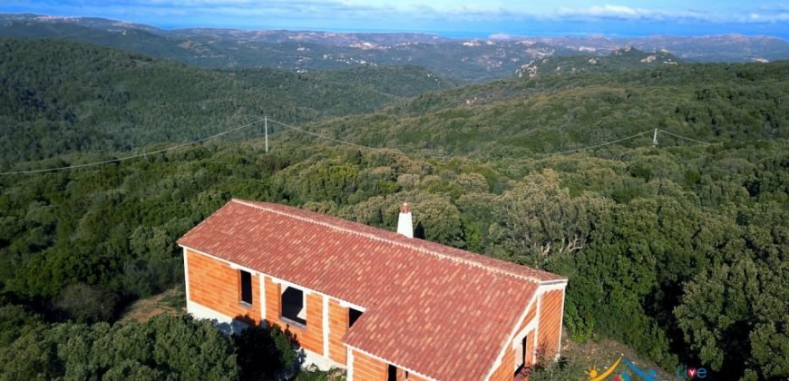 Sardinian Style Villa With Land for Sale in Luogosanto, North East Sardinia