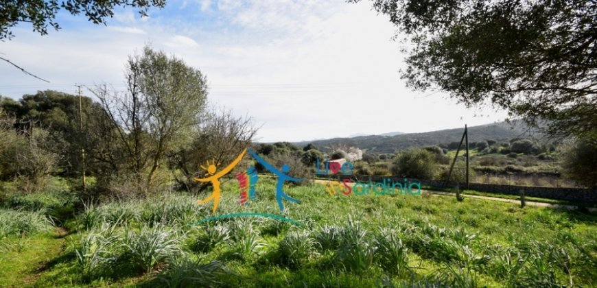 Attractive 3 Ha Land and 60 M2 Farmhouse for Sale in Li Casareddi Near Porto Cervo, North East Sardinia