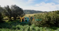 Attractive 3 Ha Land and 60 M2 Farmhouse for Sale in Li Casareddi Near Porto Cervo, North East Sardinia