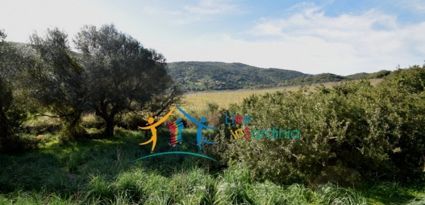 Attractive 3 Ha Land and 60 M2 Farmhouse for Sale in Li Casareddi Near Porto Cervo, North East Sardinia