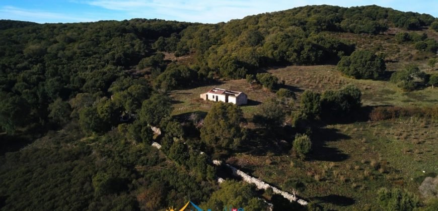 Restoration Project:9ha Land and 86 M2 Stazzo for Sale in Luogosanto, 23 Km from the Sea, North Sardinia