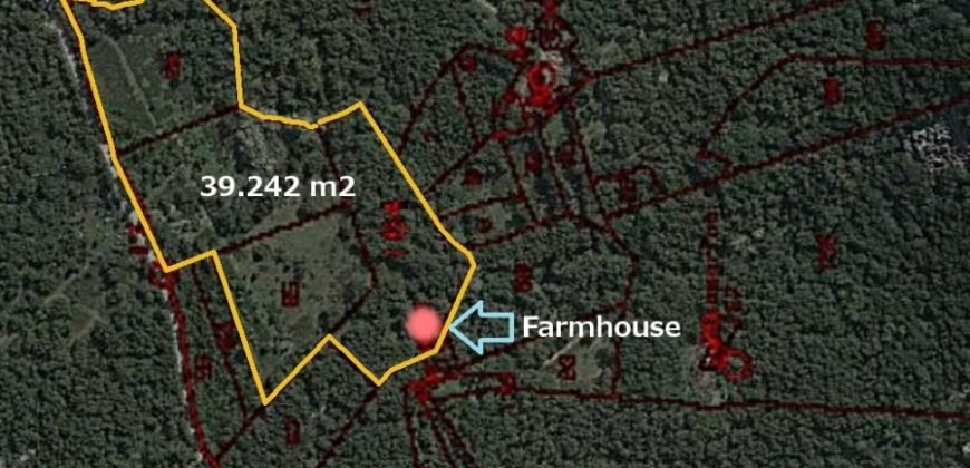 120M2 Ruin and 3,9 Ha Land for Sale in Calangianus, Northern Sardinia