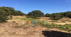 Restoration Project:9ha Land and 86 M2 Stazzo for Sale in Luogosanto, 23 Km from the Sea, North Sardinia