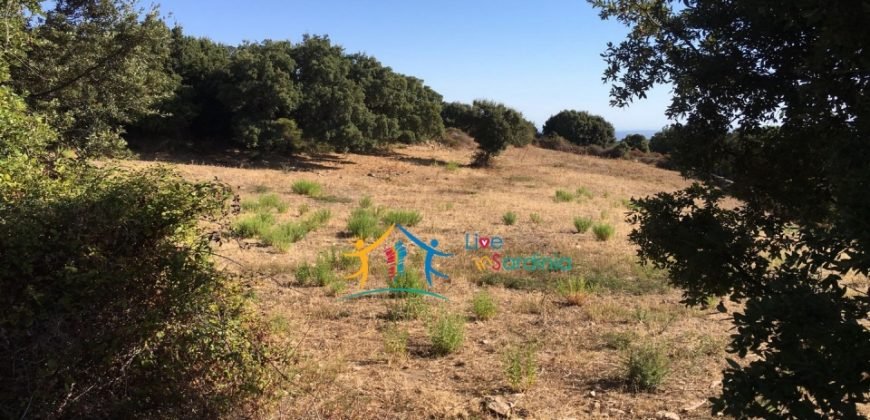 Restoration Project:9ha Land and 86 M2 Stazzo for Sale in Luogosanto, 23 Km from the Sea, North Sardinia