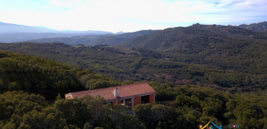 Sardinian Style Villa With Land for Sale in Luogosanto, North East Sardinia