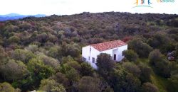 Superb Unfinished Rural Villas With 3,4 Ha for Sale Near Olbia, North Sardinia