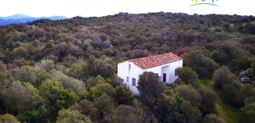 Superb Unfinished Rural Villas With 3,4 Ha for Sale Near Olbia, North Sardinia