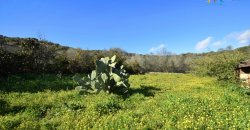 Refurbished 100 M2 Rural Home and Land for Sale 15 Km from Olbia, N.e. Sardinia