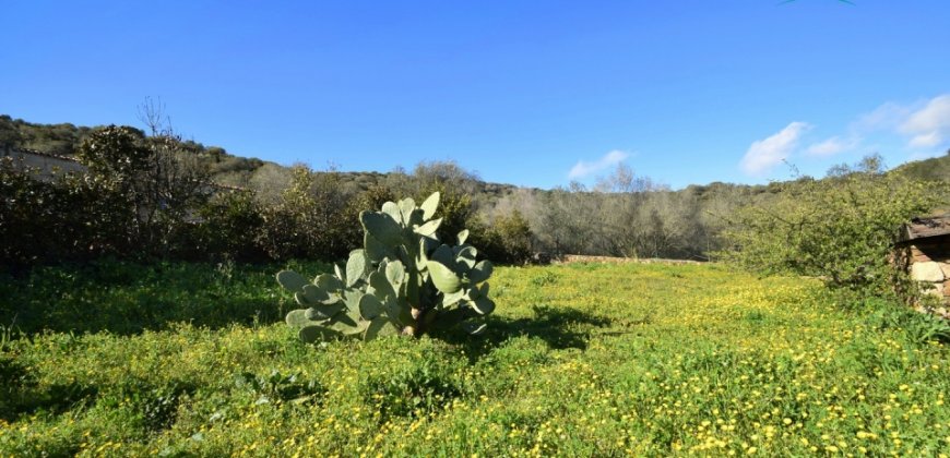 Refurbished 100 M2 Rural Home and Land for Sale 15 Km from Olbia, N.e. Sardinia