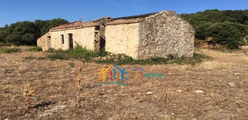 Restoration Project:9ha Land and 86 M2 Stazzo for Sale in Luogosanto, 23 Km from the Sea, North Sardinia