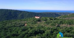 Scenic Sea Views 2,5 Ha Land and Villa for Sale Near Luogosanto, North East Sardinia