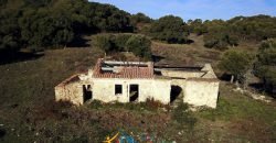 Restoration Project:9ha Land and 86 M2 Stazzo for Sale in Luogosanto, 23 Km from the Sea, North Sardinia