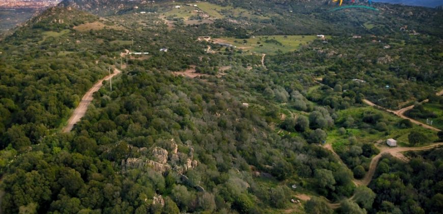 Superb Unfinished Rural Villas With 3,4 Ha for Sale Near Olbia, North Sardinia
