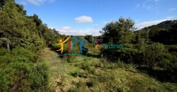 120M2 Ruin and 3,9 Ha Land for Sale in Calangianus, Northern Sardinia