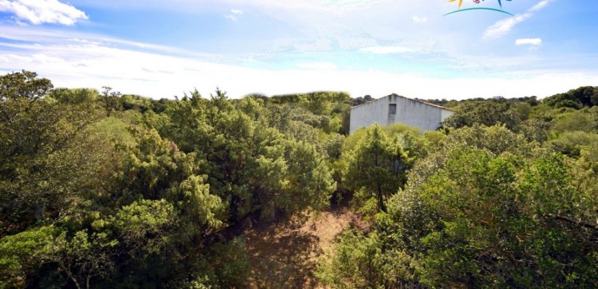 Superb Unfinished Rural Villas With 3,4 Ha for Sale Near Olbia, North Sardinia