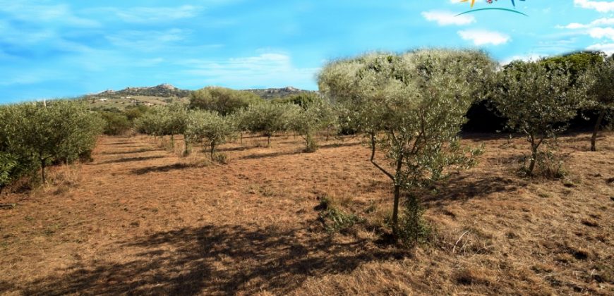 Superb Unfinished Rural Villas With 3,4 Ha for Sale Near Olbia, North Sardinia