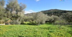 Refurbished 100 M2 Rural Home and Land for Sale 15 Km from Olbia, N.e. Sardinia