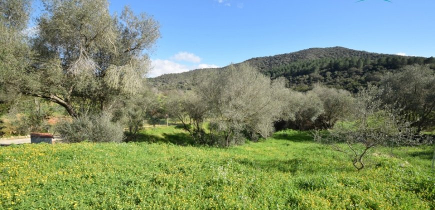 Refurbished 100 M2 Rural Home and Land for Sale 15 Km from Olbia, N.e. Sardinia