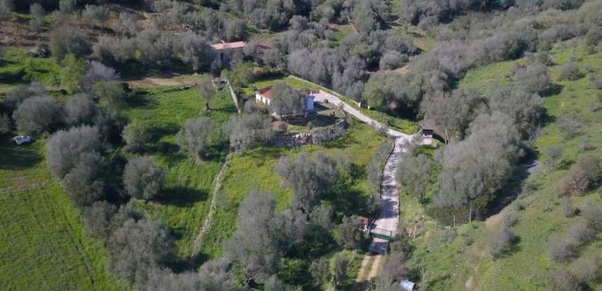 Refurbished 100 M2 Rural Home and Land for Sale 15 Km from Olbia, N.e. Sardinia