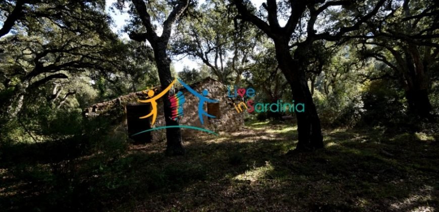 120M2 Ruin and 3,9 Ha Land for Sale in Calangianus, Northern Sardinia