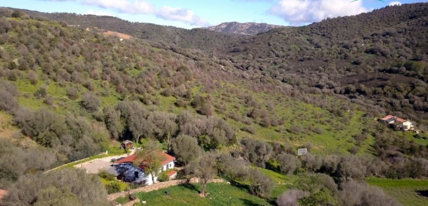 Refurbished 100 M2 Rural Home and Land for Sale 15 Km from Olbia, N.e. Sardinia