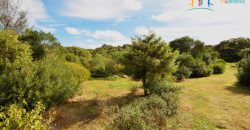 Superb Unfinished Rural Villas With 3,4 Ha for Sale Near Olbia, North Sardinia