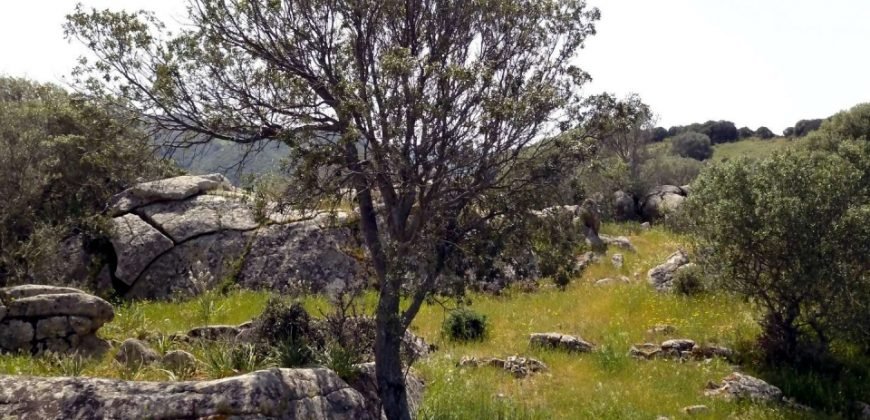 Lapponi: 1 Ha Plot for Sale Near the Sea, building Permission, 6 Km from the Rena Maiore Beach, Northen Sardinia