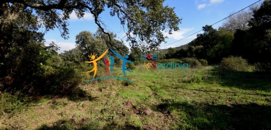 120M2 Ruin and 3,9 Ha Land for Sale in Calangianus, Northern Sardinia