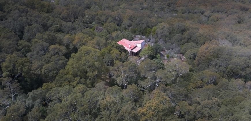 80 M2 Refurbished Farmhouse With 13 Ha Land in Calangianus, 30 Km from Olbia,north East Sardinia