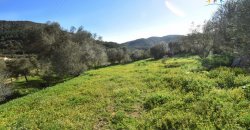 Refurbished 100 M2 Rural Home and Land for Sale 15 Km from Olbia, N.e. Sardinia