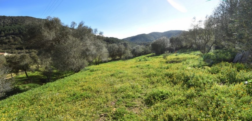 Refurbished 100 M2 Rural Home and Land for Sale 15 Km from Olbia, N.e. Sardinia