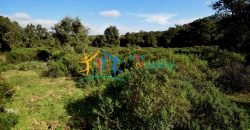 120M2 Ruin and 3,9 Ha Land for Sale in Calangianus, Northern Sardinia