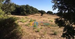 Restoration Project:9ha Land and 86 M2 Stazzo for Sale in Luogosanto, 23 Km from the Sea, North Sardinia