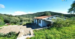 Refurbished 100 M2 Rural Home and Land for Sale 15 Km from Olbia, N.e. Sardinia