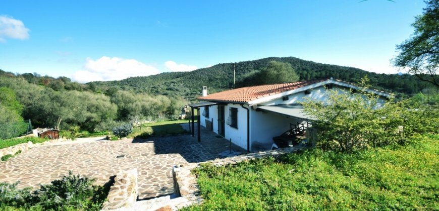 Refurbished 100 M2 Rural Home and Land for Sale 15 Km from Olbia, N.e. Sardinia