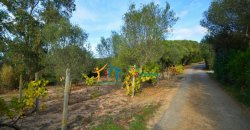Country Home in Canniggione for Sale- 124 M2 & 5000 M2, North East Sardinia