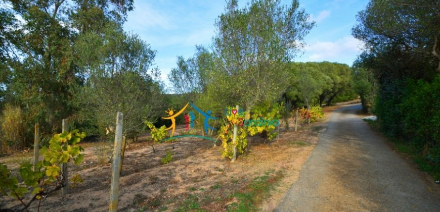 Country Home in Canniggione for Sale- 124 M2 & 5000 M2, North East Sardinia