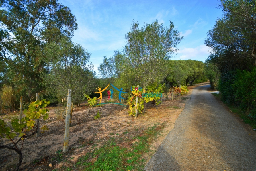 Country Home in Canniggione for Sale- 124 M2 & 5000 M2, North East Sardinia