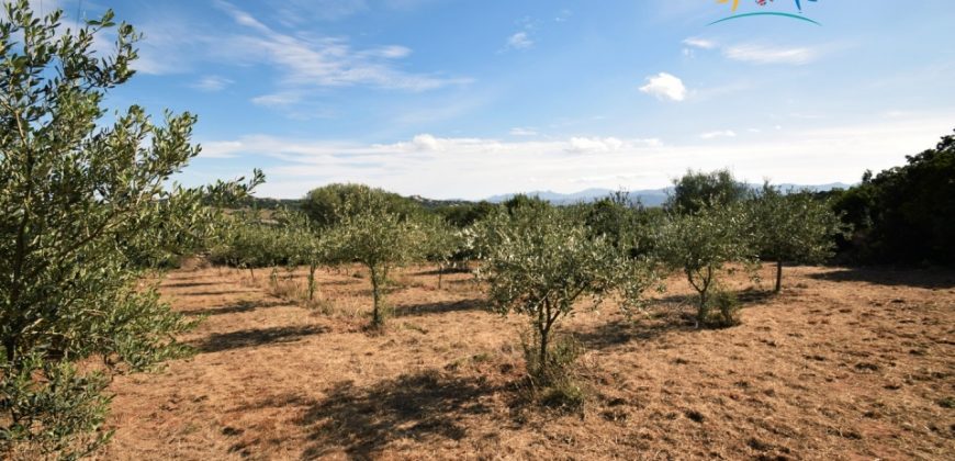 Superb Unfinished Rural Villas With 3,4 Ha for Sale Near Olbia, North Sardinia
