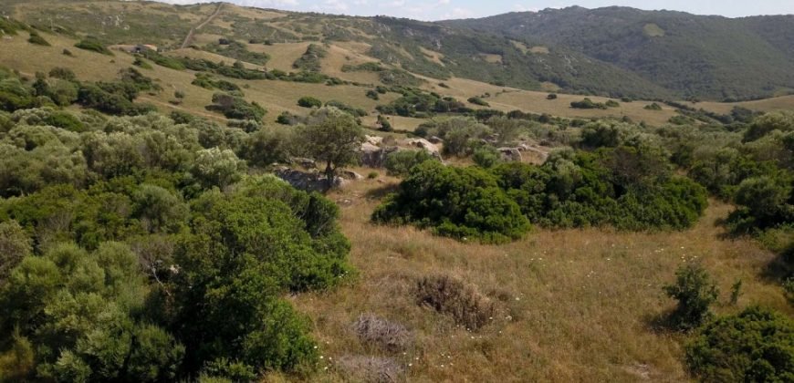 Lapponi: 1 Ha Plot for Sale Near the Sea, building Permission, 6 Km from the Rena Maiore Beach, Northen Sardinia